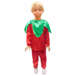 Costum carnaval baieti mac cu verde