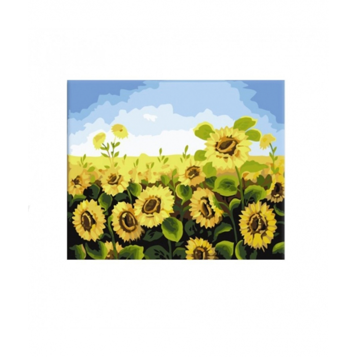 Set pictura pe numere Tablou cu Floarea Soarelui