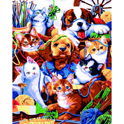 Set pictura pe numere Tablou Caini si pisici
