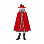 Costumatie Motan Incaltat cu palarie