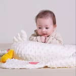 Perna multifunctionala pentru bebelusi, pentru un somn linistit, anticolici, pentru dezvoltarea independentei, pentru acasa si calatorii, 3 luni-2 ani, Gasca - imagine 6